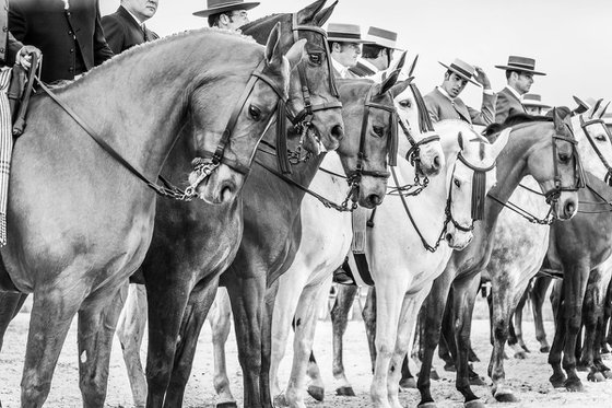 The Line Up