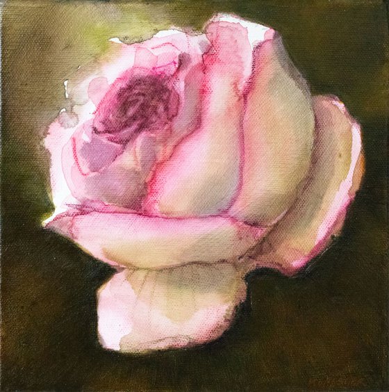 The rose - small size framed floral painting - 20X20 cm