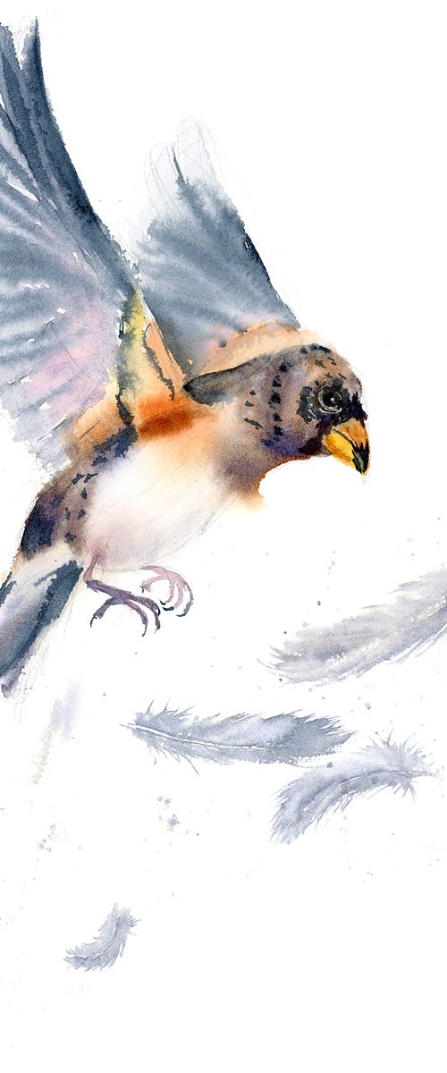 Bird and feather 3 ( 1 of 3) -  Original Watercolor Painting by Olga Tchefranov (Shefranov)