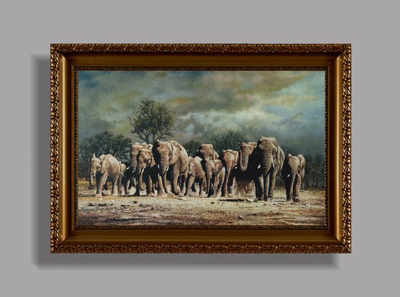 Whild Elephants 1