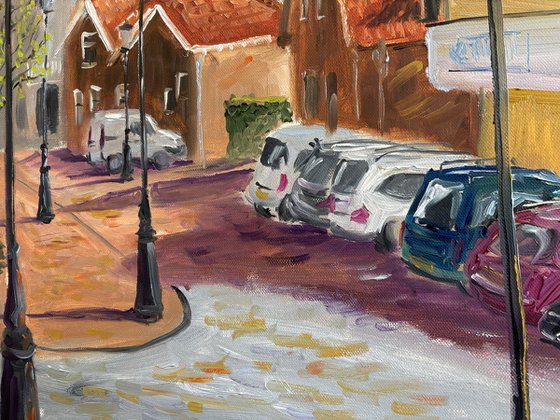 Historic Dutch Street Scene