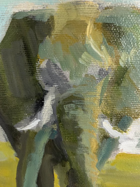 Elephant by the Water 8x10
