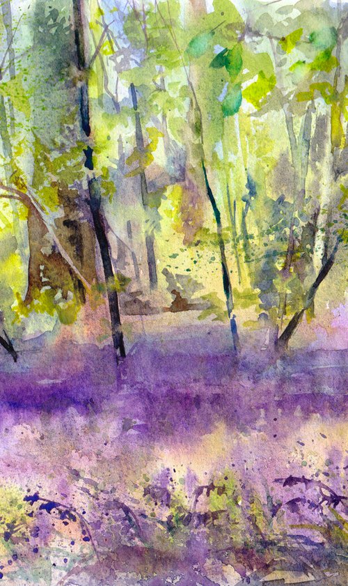 Bluebell wood by Anjana Cawdell