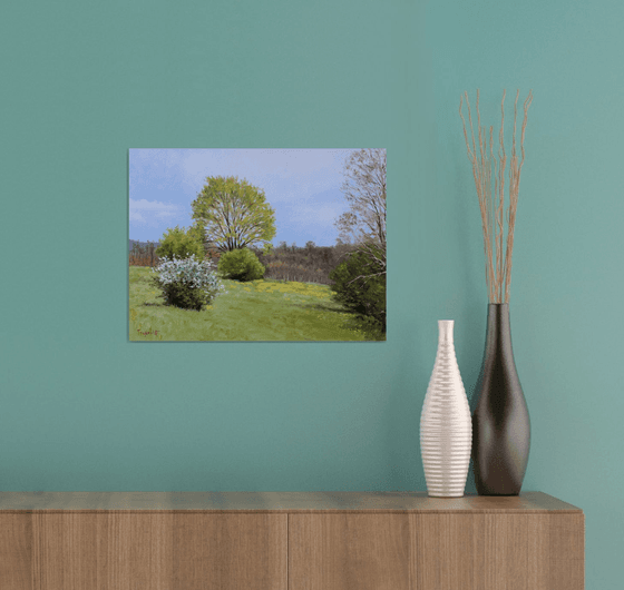 Meadow on the Hill in Spring