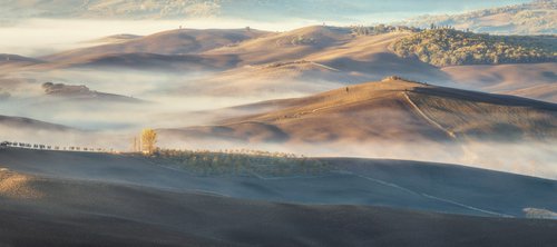 Foggy valley by Pavel Oskin