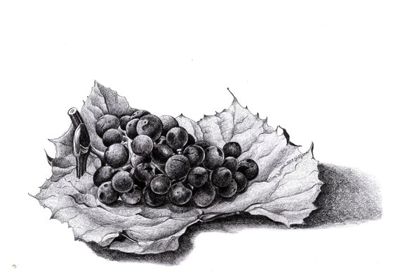 BLACK GRAPES Series Small Drawings