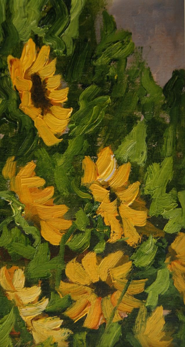 Sunflower Field by Marjory Sime