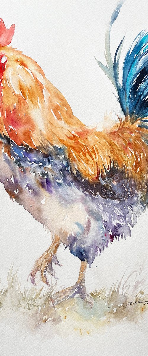 Bonnie the Bantam Rooster by Arti Chauhan
