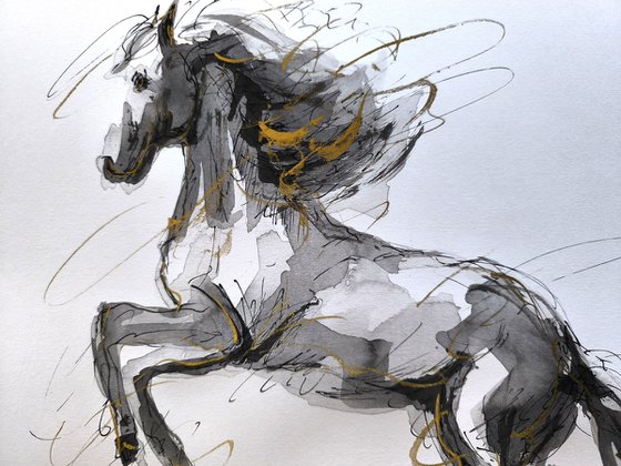 Equine Poetry Series