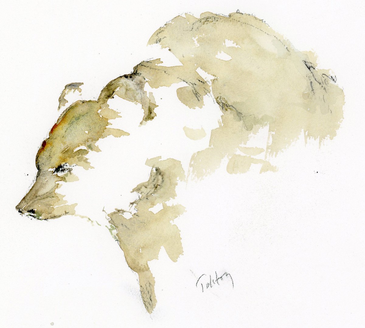 Impressionistic Animal Watercolour By Alex Tolstoy, 12 X 10, Brown Bear, Original Artwork