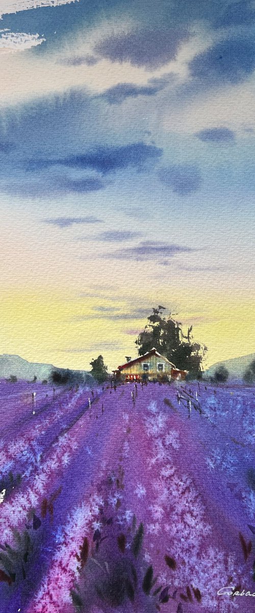 Lavender sunset #2 by Eugenia Gorbacheva