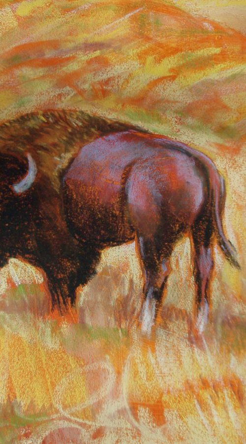 "Solitary Buffalo I" by Lorie Schackmann