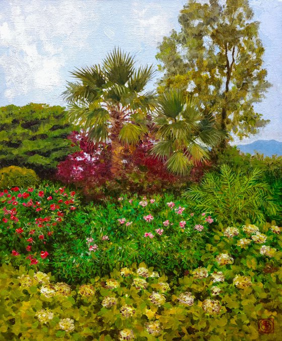 Morning Mediterranean Garden