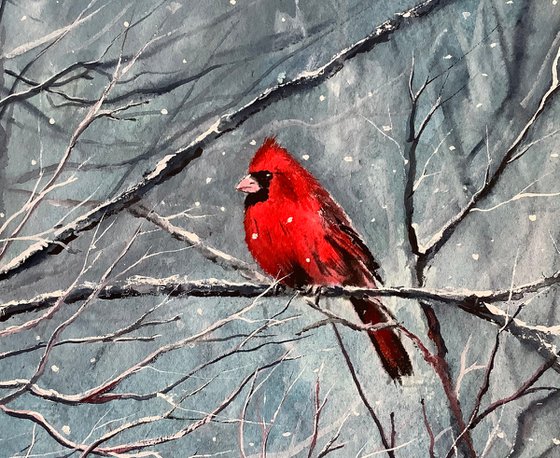 Red Cardinals