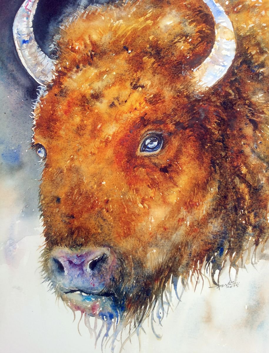 Brawny the Bison by Arti Chauhan