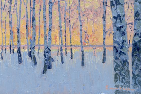 March morning. Birch trees