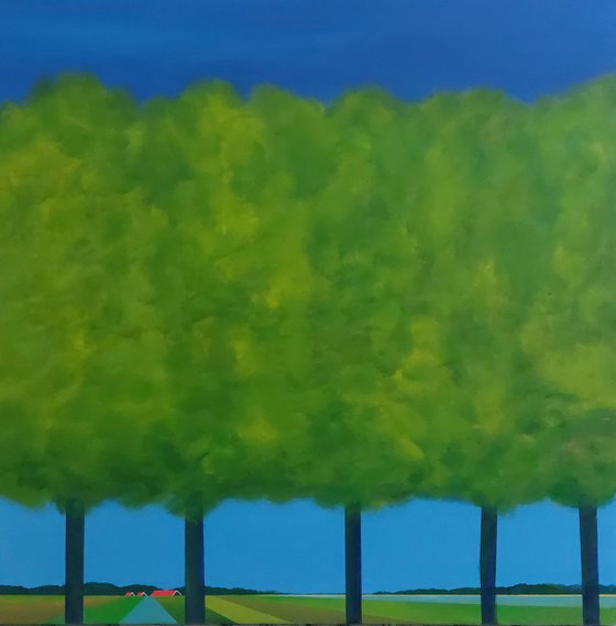 Trees in the polder