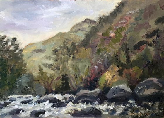 Mountain stream at Aberglaslyn, Snowdonia. An original painting.