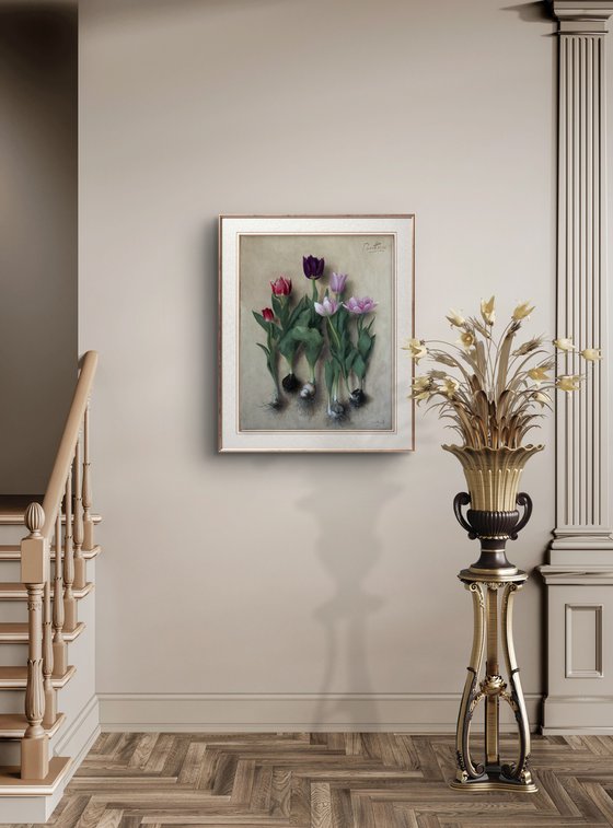 Tulip bulbs 02