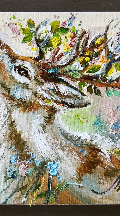 Cervo Primaverile by Annet Loginova