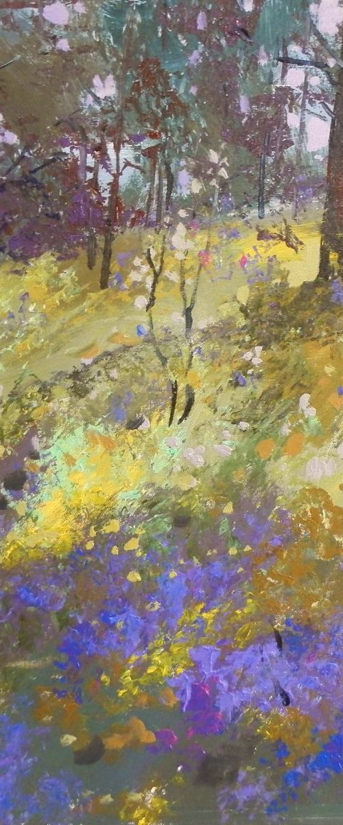 in forest by Sergey  Kachin