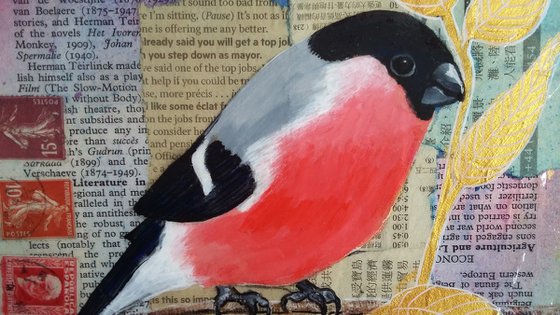 Bullfinch - Ornithology#1 - Framed ready to hang original painting