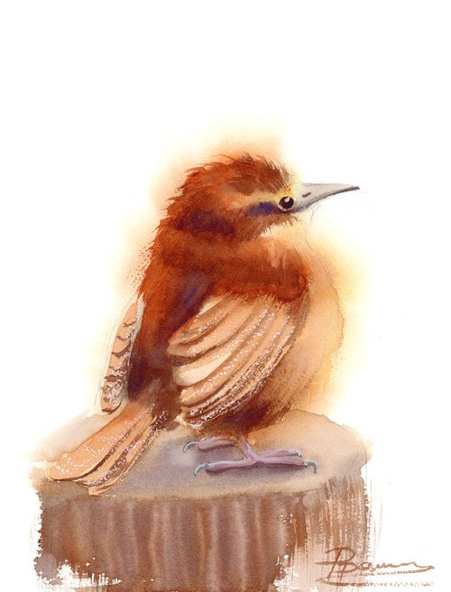 The winter wren bird by Olga Shefranov (Tchefranov)