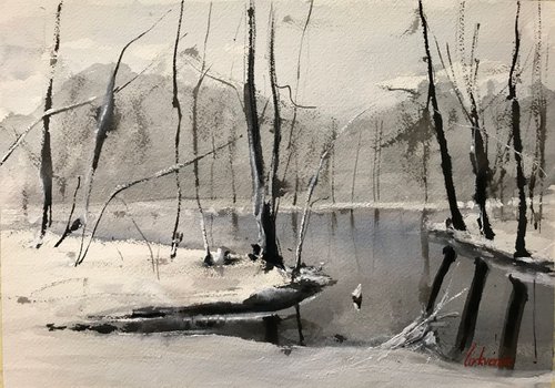 Winter on the lake by Tihomir Cirkvencic