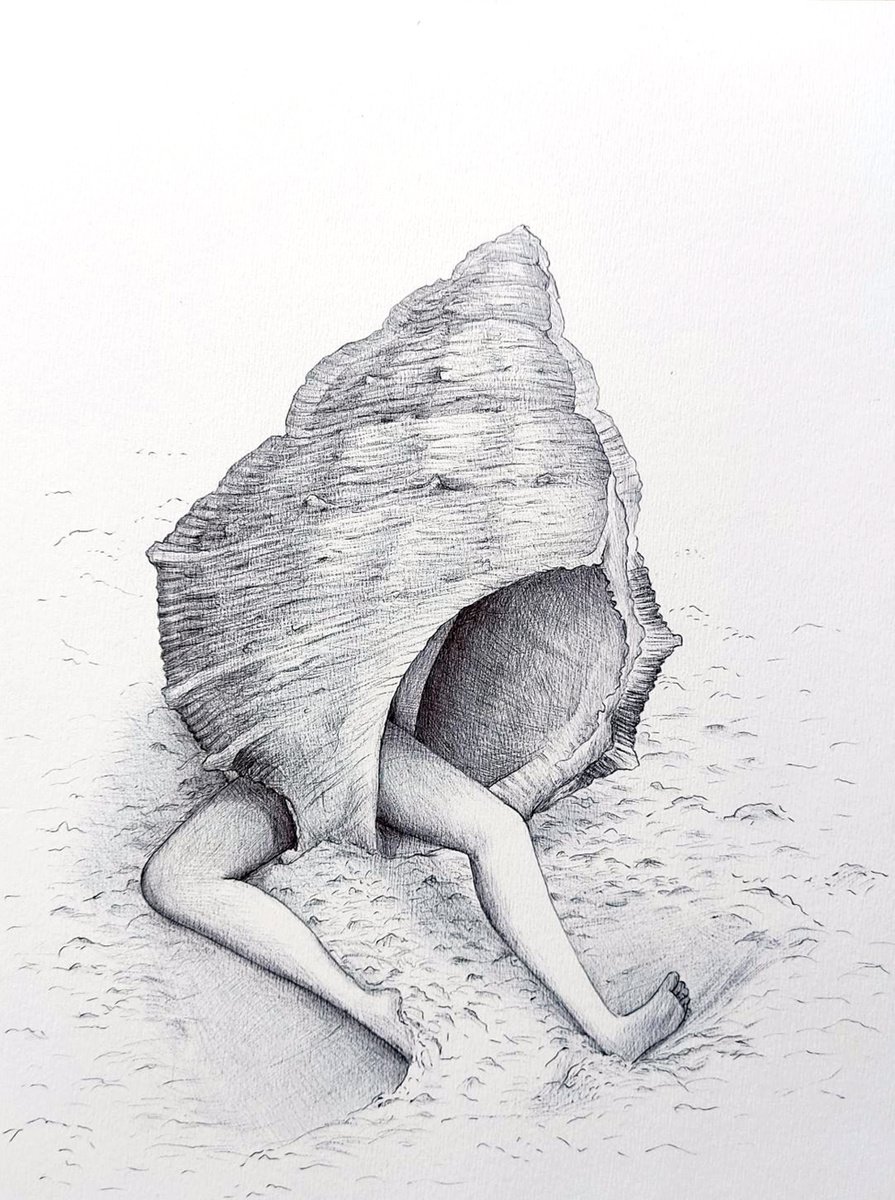 Portrait Ink Drawing By Andromachi Giannopoulou, 15 X 18, Shell With Feet, Original Artwork
