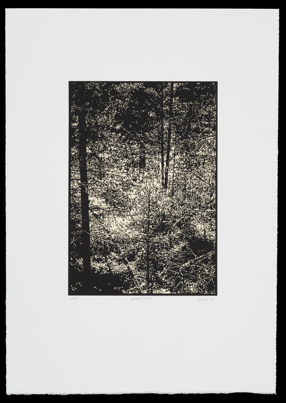 THICKET / PECOS