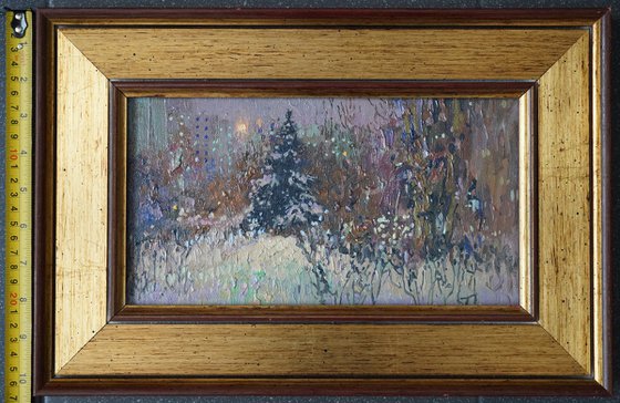 A spruce on a winter boulevard at night