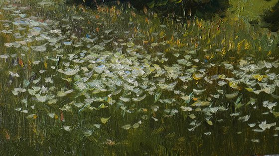 Evening Wildflowers - summer sunny landscape, painting