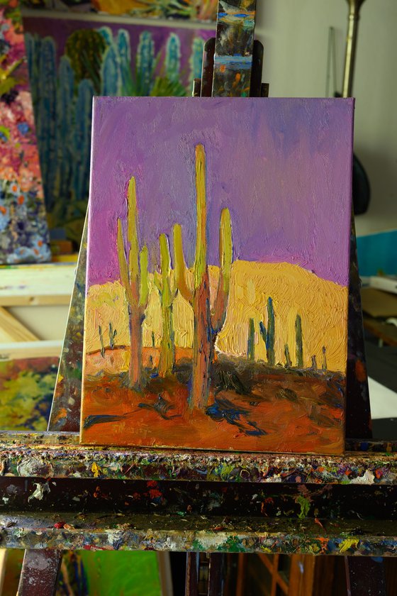 Saguaros. Evening