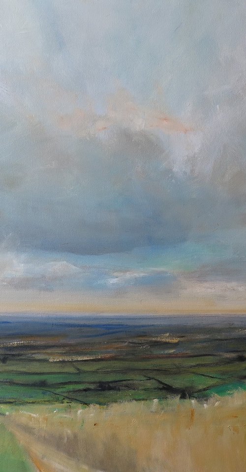 Yorkshire Wolds,  July 22 by Malcolm Ludvigsen