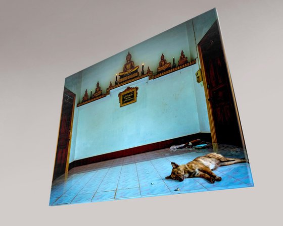 Temple Dogs of Laos No.7