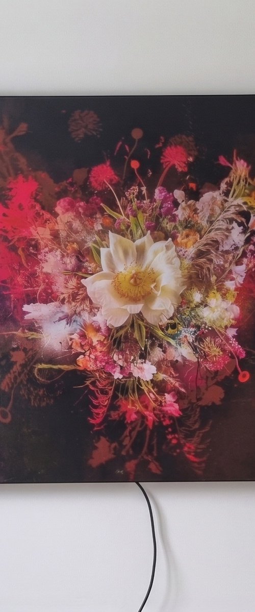 Bouquet III (Lightbox) [Studio Clearance] by Teis Albers