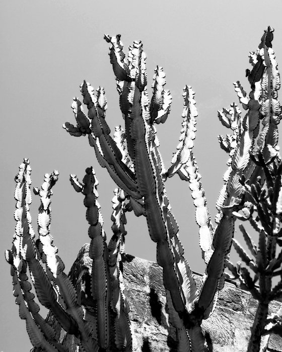 THE REACH Desert Hot Springs CA