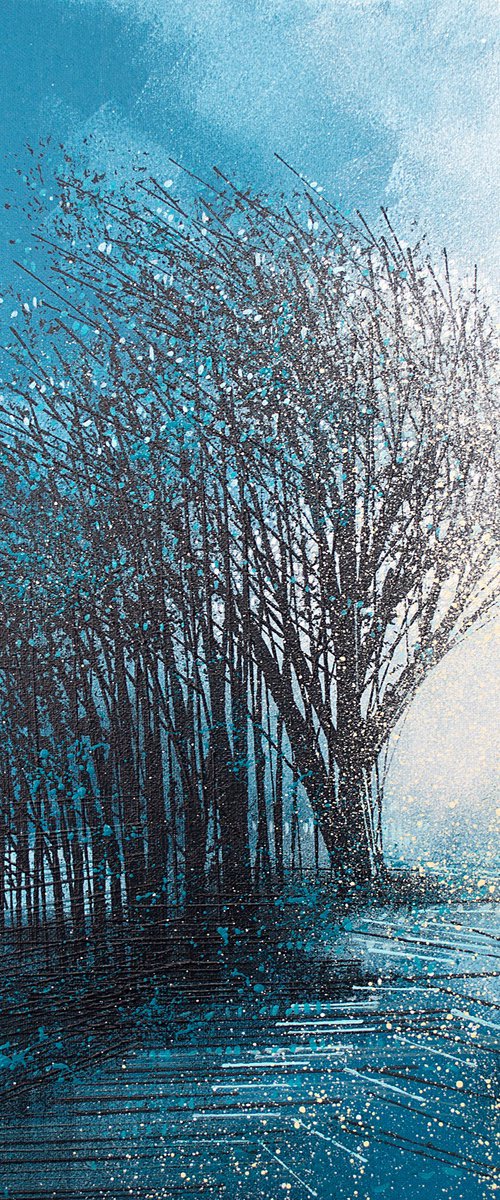 Trees In Morning Mist by Marc Todd