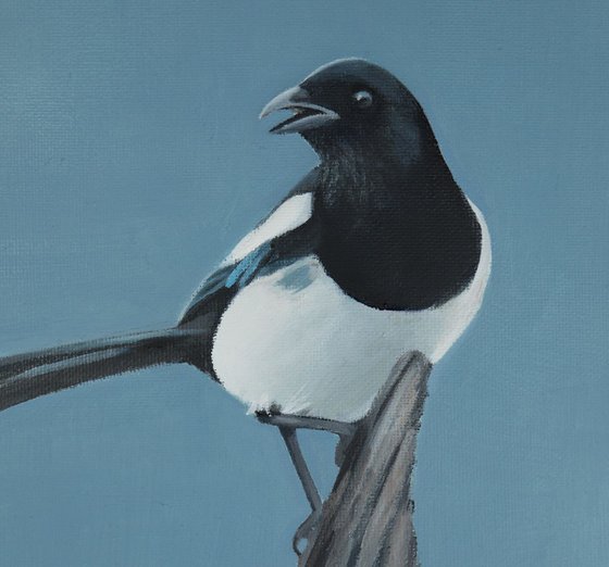 Magpie Painting, Bird Artwork, Animal Art Framed
