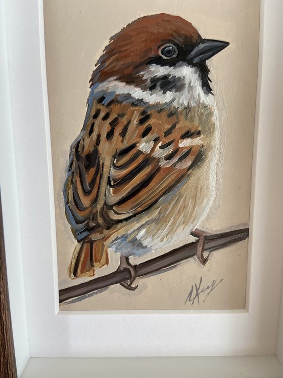 Sparrow Bird painting mini art framed 16x12cm cute mini art