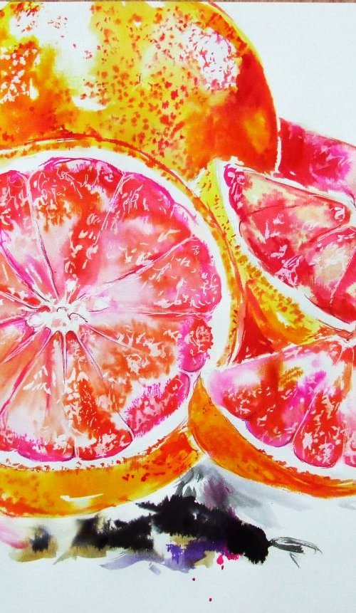 Grapefruits / Watercolor by Anna Sidi-Yacoub