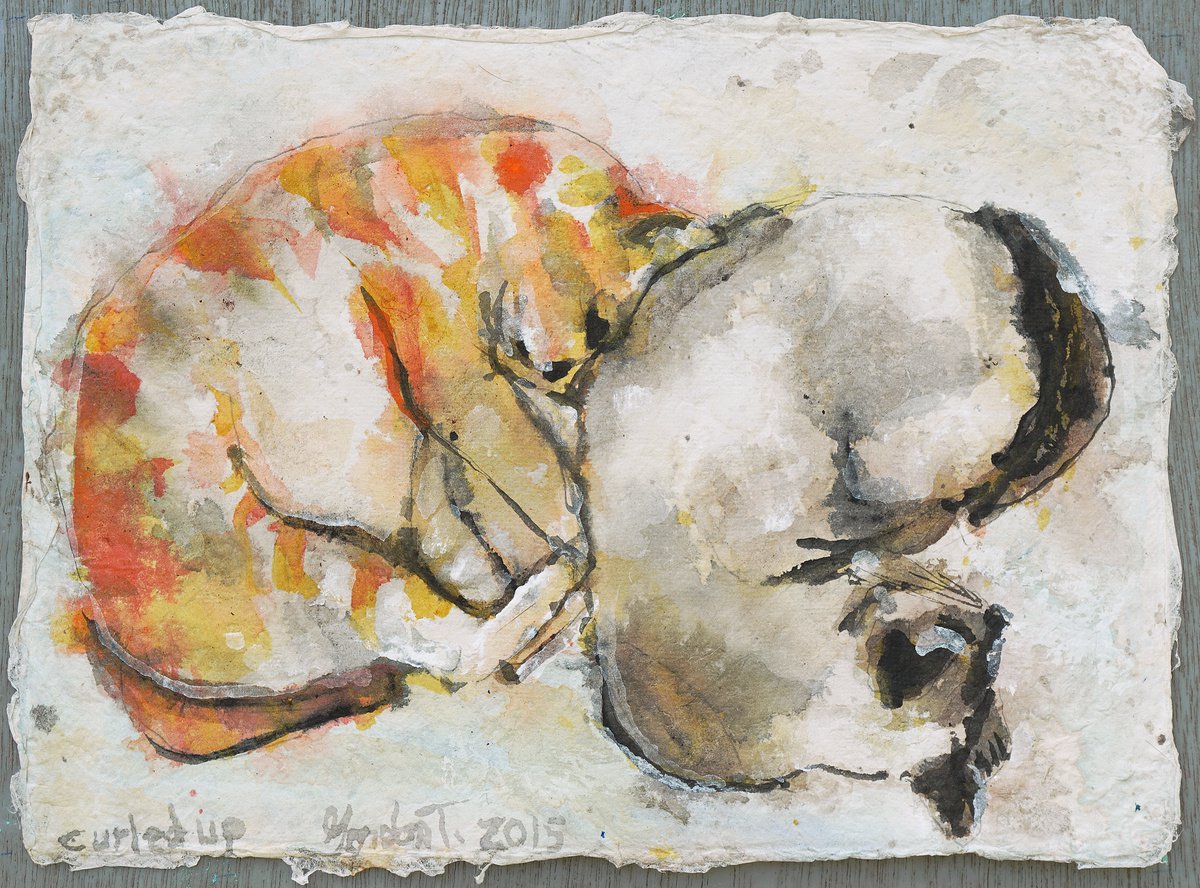 Curled up by Gordon Tardio