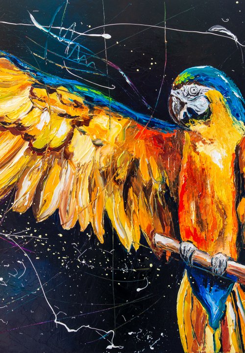 Freedom for parrots ! by Liubov Kuptsova