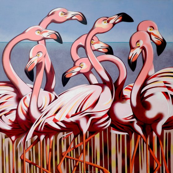 Flamingos