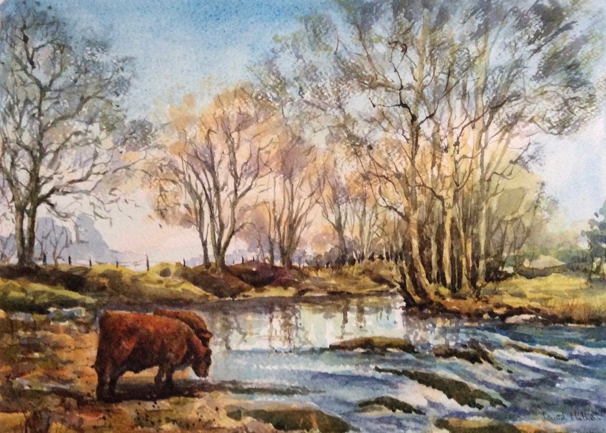 Morning drink on the Tavy by David Mather