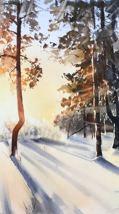 Winter forest in the sunlight by Eugenia Gorbacheva