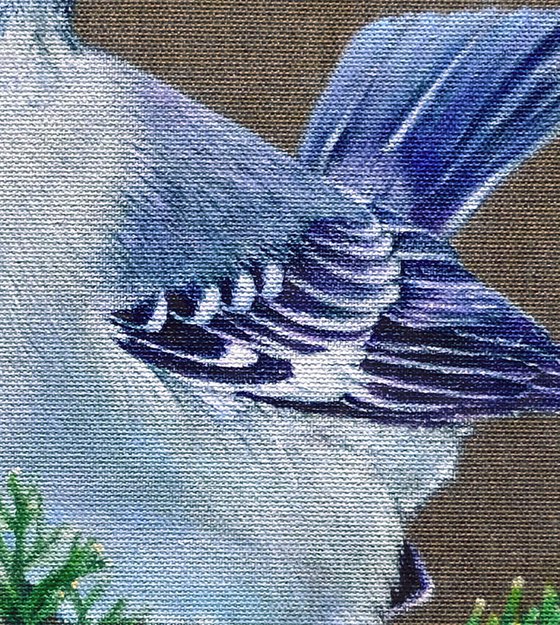 BIRD. THE BLUE BIRD ON A JUNIPER BRANCH.