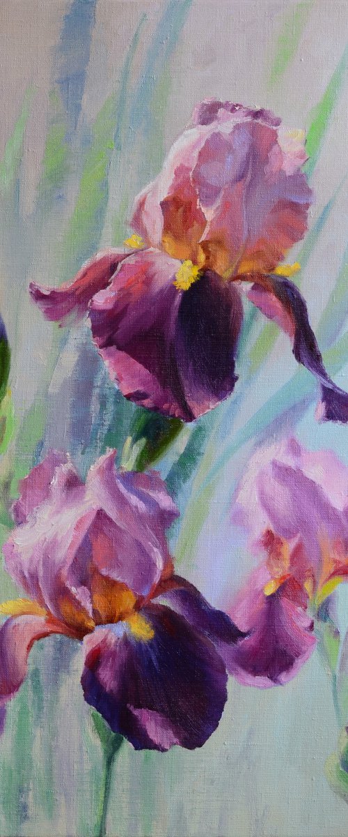 Purple by Ruslan Kiprych