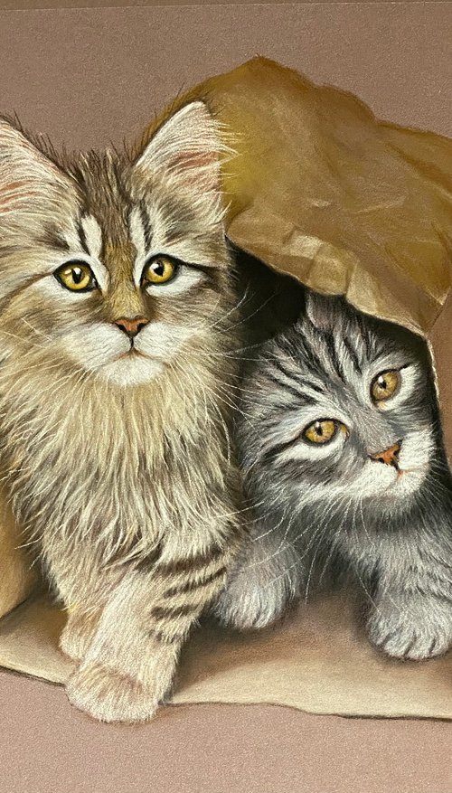 Kittens by Maxine Taylor