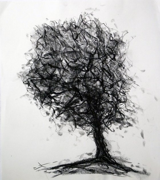 Tree study